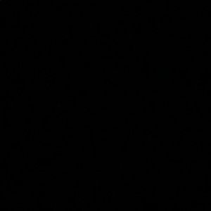 Meet your Posher, Mmarquirius